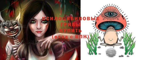 гидра Тобольск