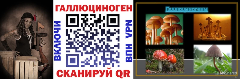 дарнет шоп  Озёрск  Галлюциногенные грибы GOLDEN TEACHER 